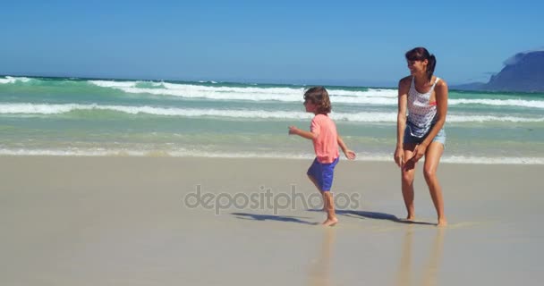 Matka a syn si pochutnávají na pláži — Stock video