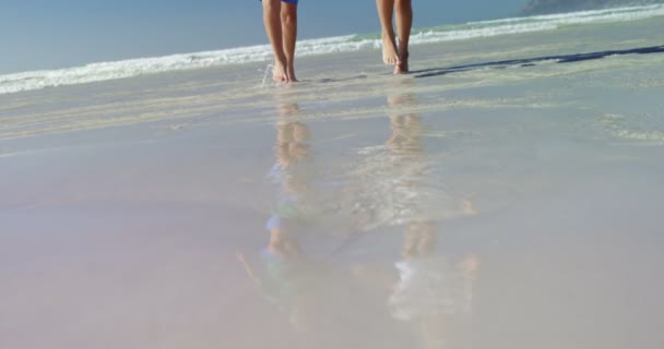 Блудниці тримаються за руки, бігаючи на березі на пляжі — стокове відео