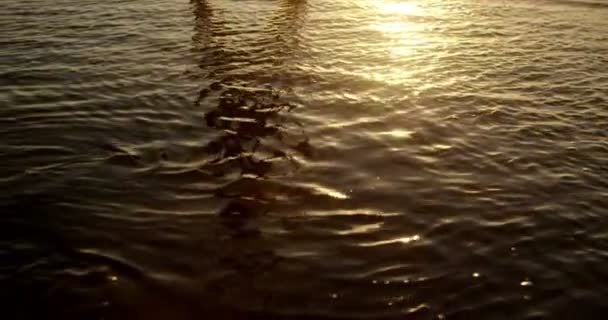 Reflection of person standing in water at beach — Stock Video