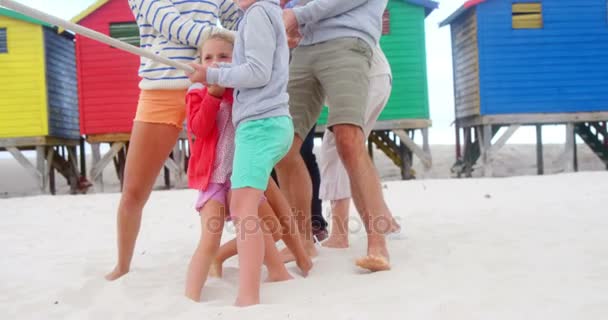 Multi generation familj spelar dragkamp på stranden — Stockvideo