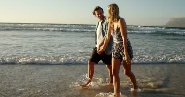 Пара прогулок вместе по берегу на пляже — стоковое видео