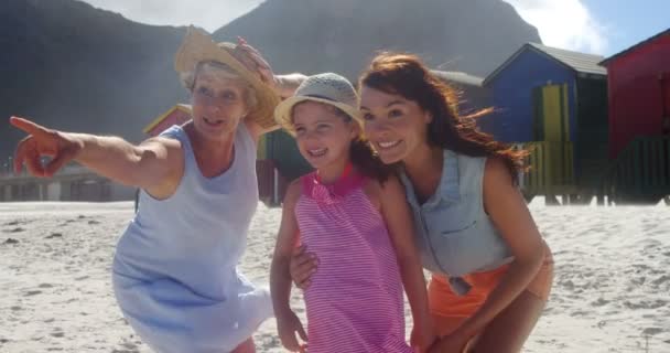 Több generációs család strandon — Stock videók