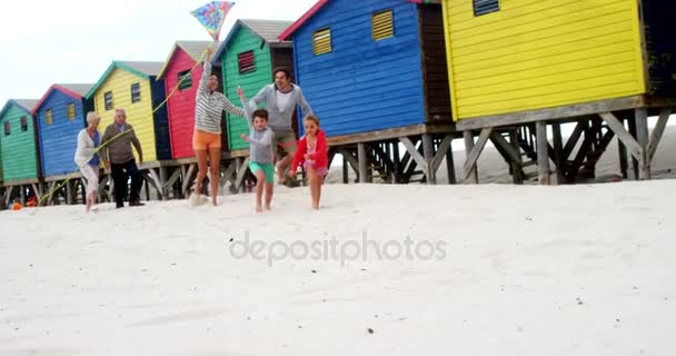 多代家庭风筝在海滩 — 图库视频影像