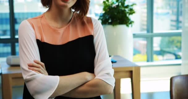 Confiada mujer ejecutiva en el cargo — Vídeos de Stock