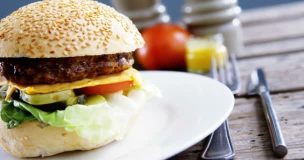 Гамбургер на тарелке — стоковое видео