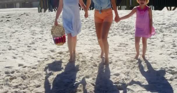 Multi generatie familie wandelen op strand — Stockvideo