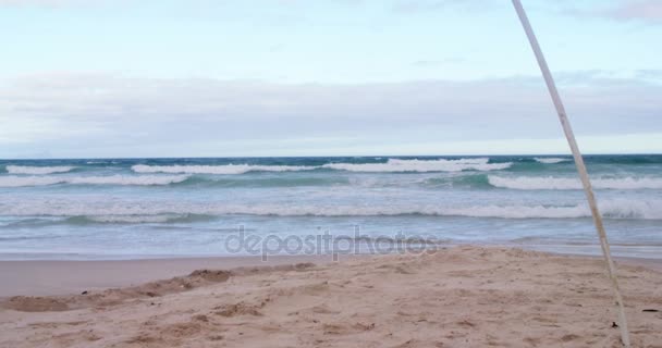 Flag waving at beach — Stock Video