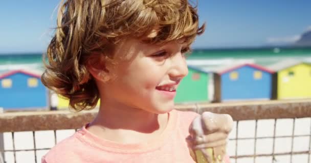 Отец и сын едят мороженое на пляже — стоковое видео