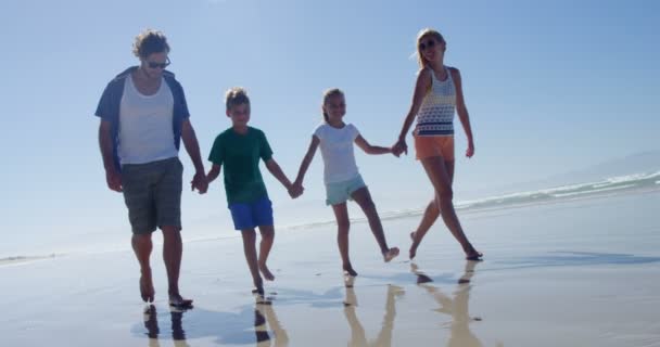 Familie hand in hand tijdens het wandelen op de kust bij strand — Stockvideo