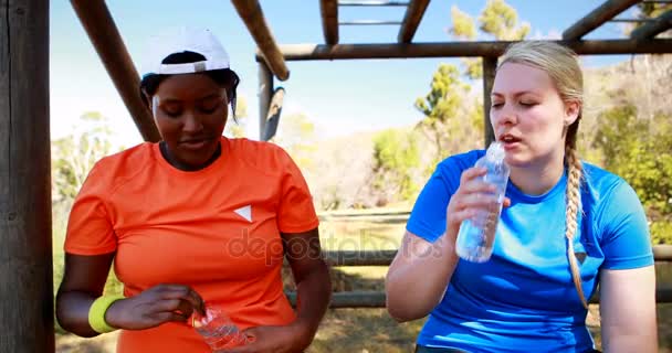 Друзья пьют воду после тренировки — стоковое видео