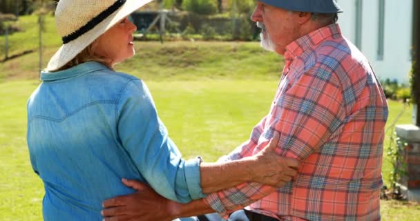 Senior couple talking to each other — Stock Video