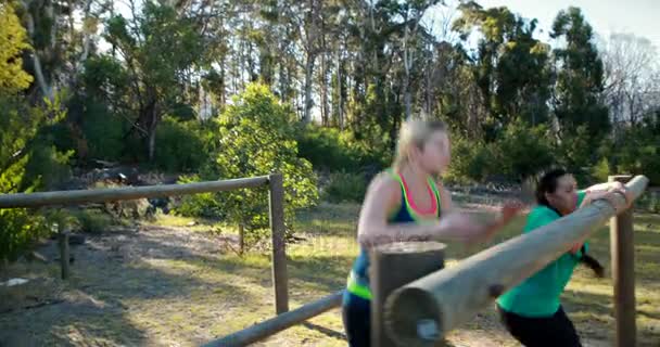 Mulheres se exercitando em equipamentos ao ar livre — Vídeo de Stock
