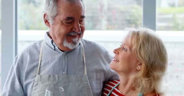 Retrato de casal tomando um copo de vinho — Vídeo de Stock