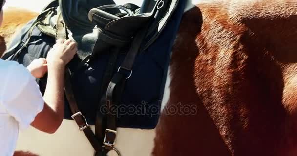 Σύσφιξη σέλα αλόγου για ιππασία κορίτσι — Αρχείο Βίντεο