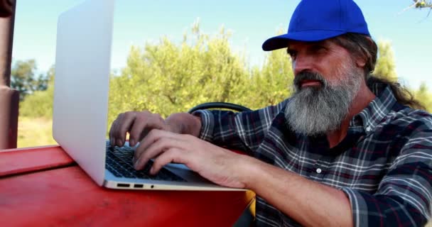 Homem usando laptop na fazenda de azeitona 4k — Vídeo de Stock