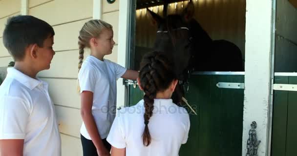 Παιδιά χαϊδεύοντας άλογο σε στάβλο — Αρχείο Βίντεο