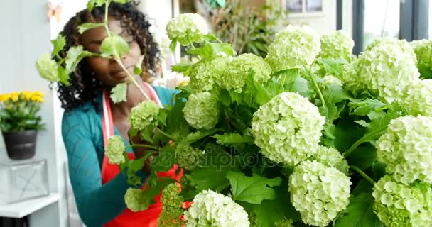 Vrouwelijke bloemist schikken bloem in de bloemenwinkel — Stockvideo