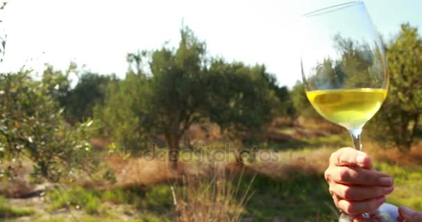 Mujer examinando vaso de vino 4k — Vídeos de Stock