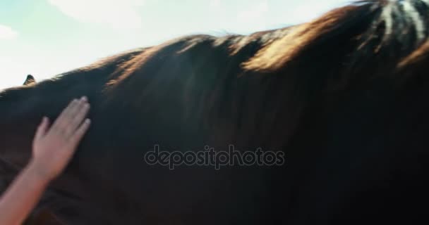 Madre e hija tocando el caballo — Vídeo de stock