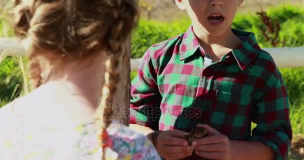 Crianças interagindo umas com as outras no parque — Vídeo de Stock