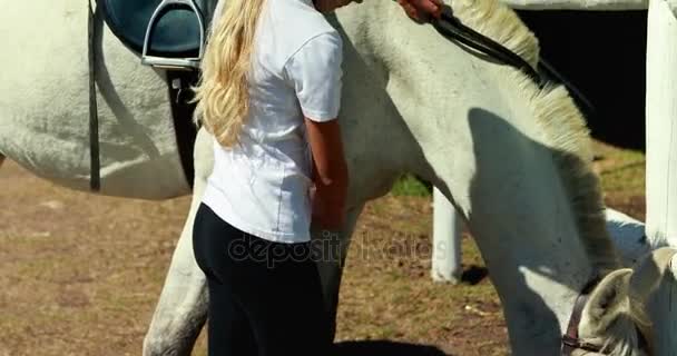 Menina tocando o cavalo branco no rancho — Vídeo de Stock