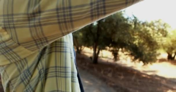 Hombre examinando copa de vino 4k — Vídeo de stock