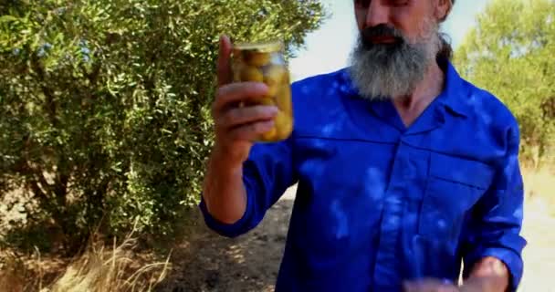 Homme examinant l'olive marinée dans la ferme 4k — Video