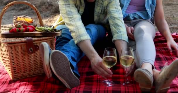 Pareja tomando vino en granja de olivos 4k — Vídeos de Stock