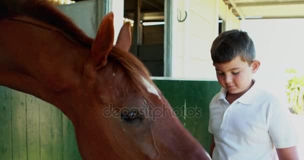 Дети гладят лошадь в конюшне — стоковое видео