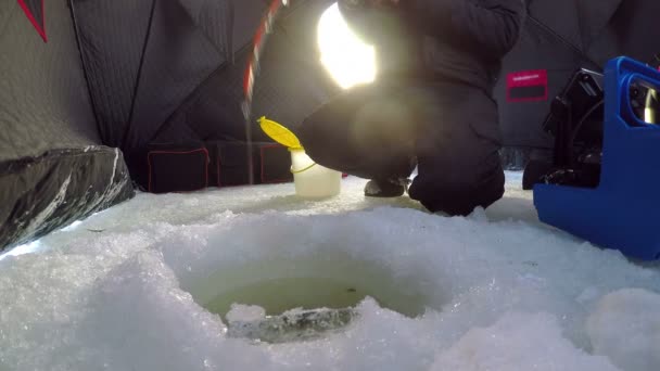 Pescatore di ghiaccio pesca in tenda — Video Stock