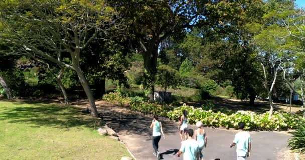 Marathonläufer laufen im Park — Stockvideo