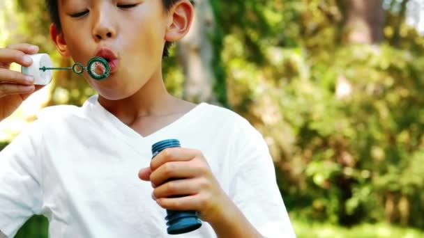 Мальчик надувает пузырь палочкой — стоковое видео
