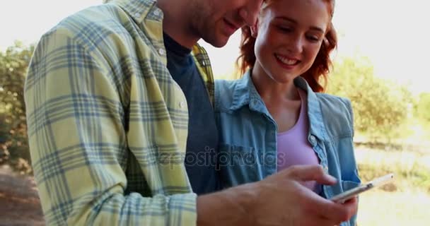 Happy couple using mobile phone 4k — Stock Video