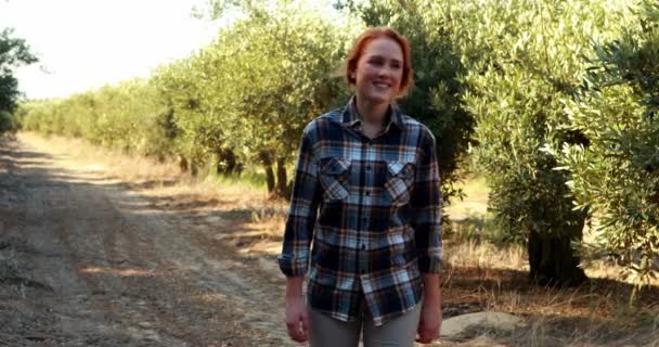 Mujer sonriente caminando en granja de olivos — Vídeo de stock