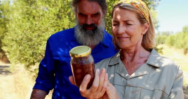 Couple examining pickled olive in farm 4k — Stock Video