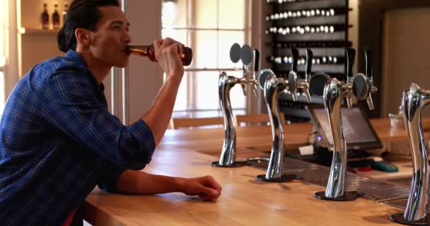 Homem tomando cerveja no balcão no bar — Vídeo de Stock