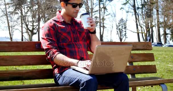 Man using laptop in the park — Stock Video