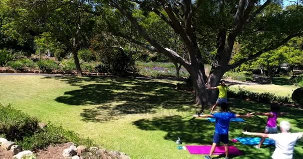 Люди, выполняющие упражнения на растяжку в парке — стоковое видео