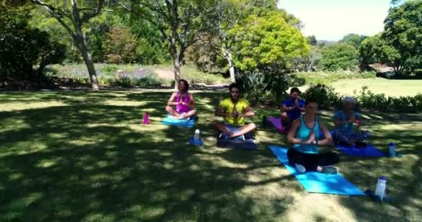 Menschen, die Yoga im Park machen — Stockvideo