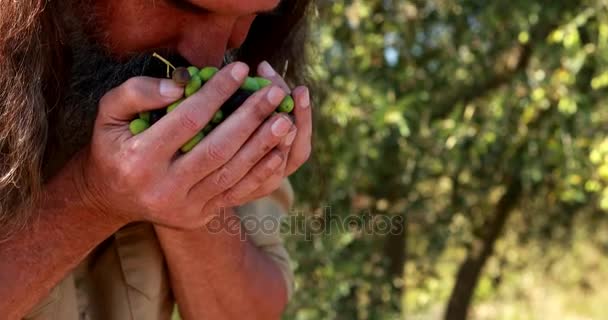 Hombre oliendo aceitunas frescas 4k — Vídeos de Stock