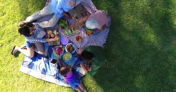 Lycklig familj äter frukost i parken — Stockvideo