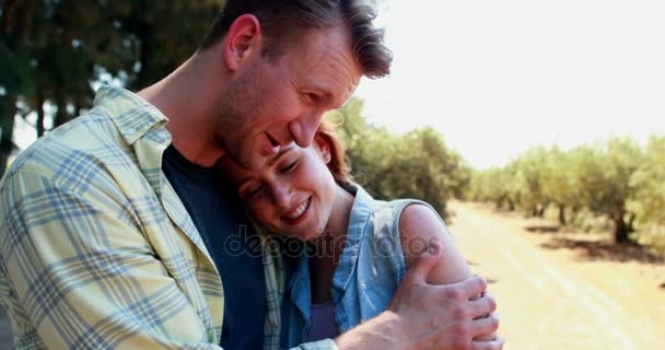 Casal feliz interagindo uns com os outros na fazenda de azeitona 4k — Vídeo de Stock