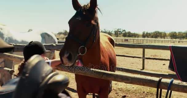 Девушка трогает коричневую лошадь на ранчо — стоковое видео
