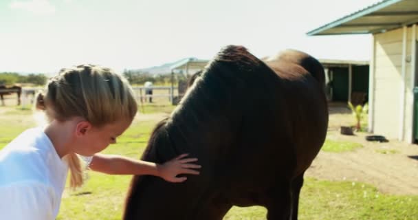 Mädchen streichelt das Pferd auf der Ranch — Stockvideo