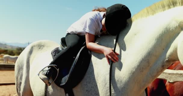 Meisje omarmen het witte paard in de ranch — Stockvideo