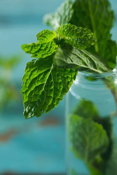 Frische Minzblätter im Glas — Stockfoto