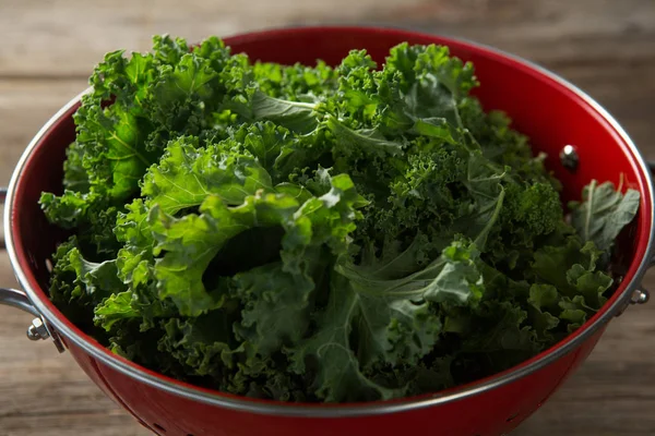 Close-up of kale in colander — Stock Photo, Image