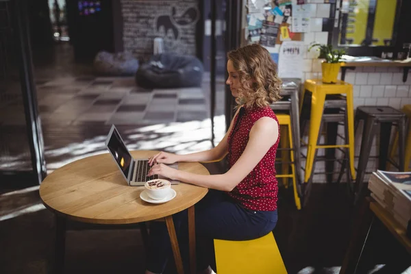 Cliente feminino usando laptop — Fotografia de Stock