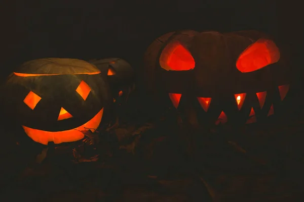 Jack o Laterne leuchtet zu Halloween — Stockfoto