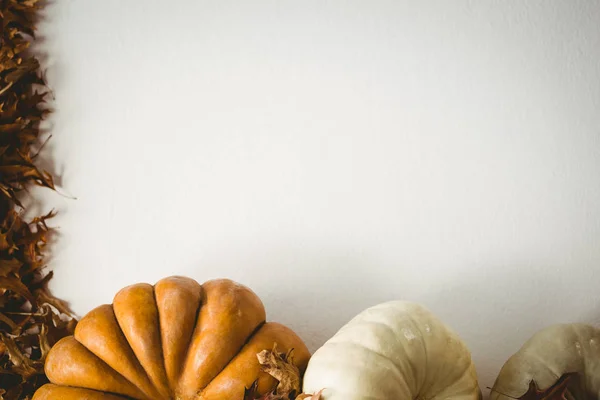 Pompoenen en herfst bladeren op witte achtergrond — Stockfoto